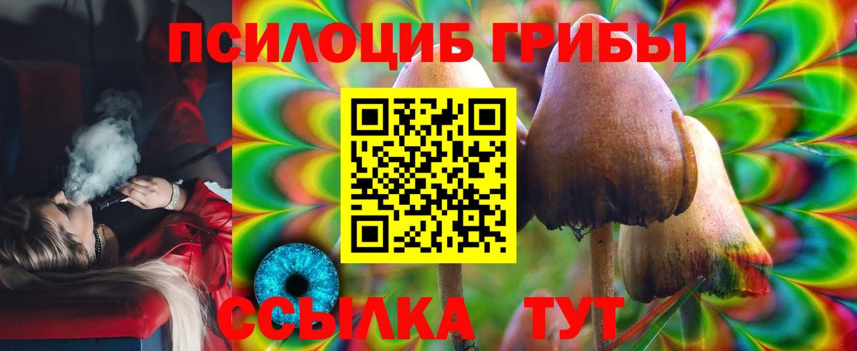 Псилоцибиновые грибы прущие грибы Кольчугино