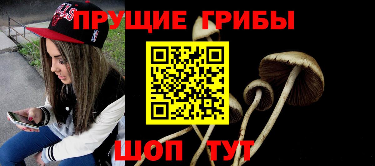 Кольчугино  Псилоцибиновые грибы прущие грибы  Вход с VPN  Галлюциногенные грибы мицелий 
